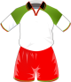 maglietta