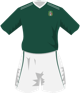 maglietta