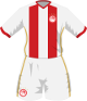 maglietta